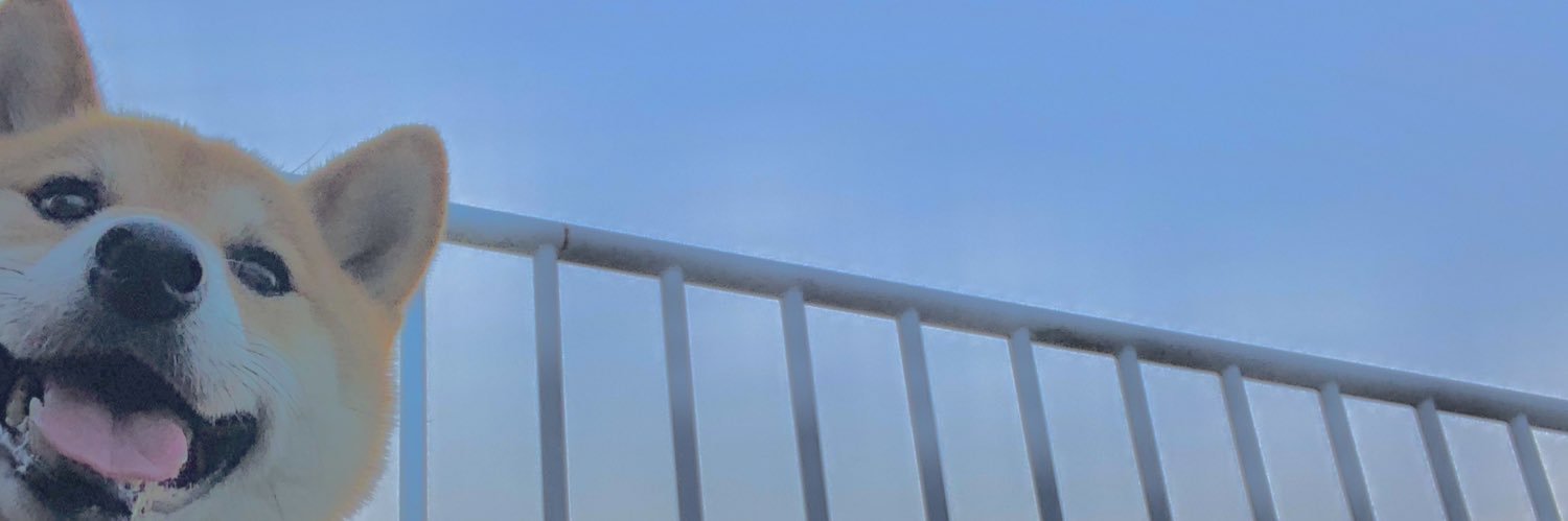 YazawaAsuka's profile banner image