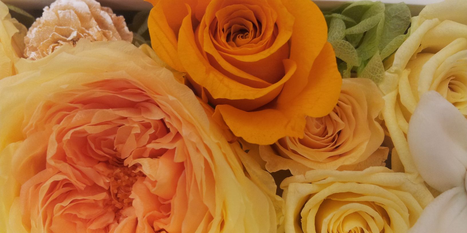 s_mutuki3's profile banner image