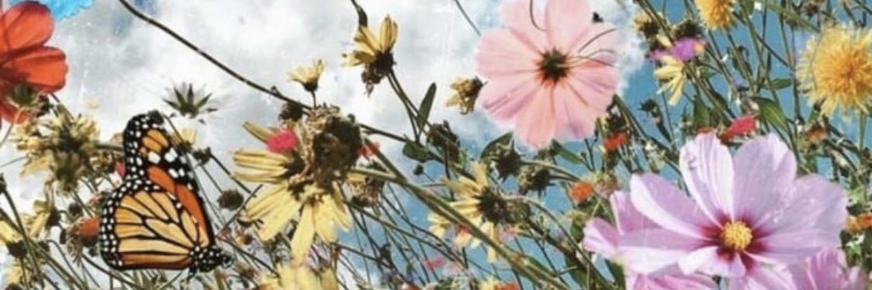 0018may's profile banner image