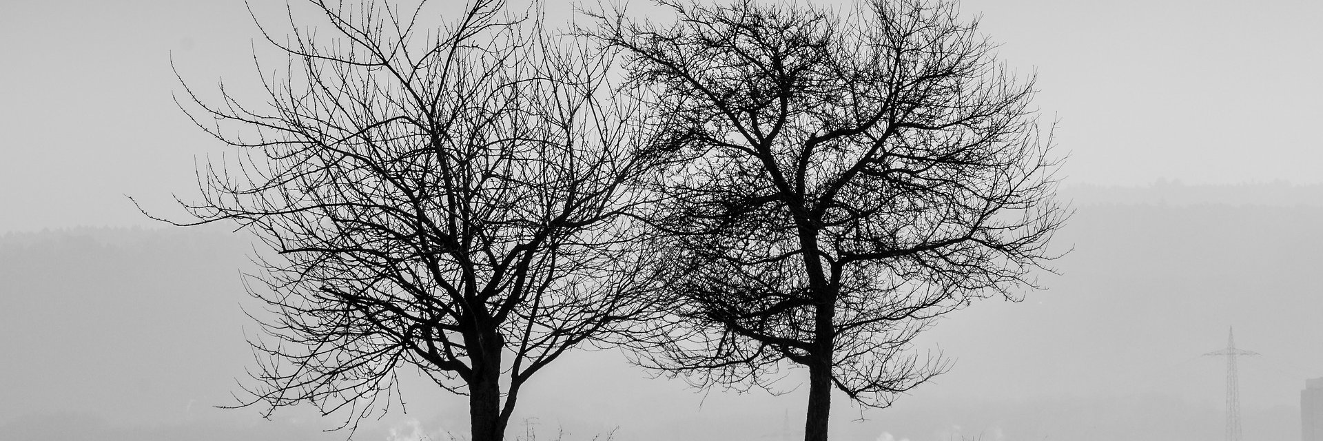 _sssssky's profile banner image
