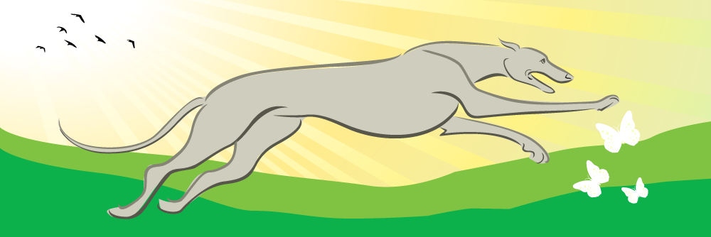 StopGreyRacing's profile banner image