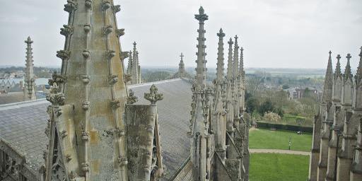 Lizzie Taylor banner