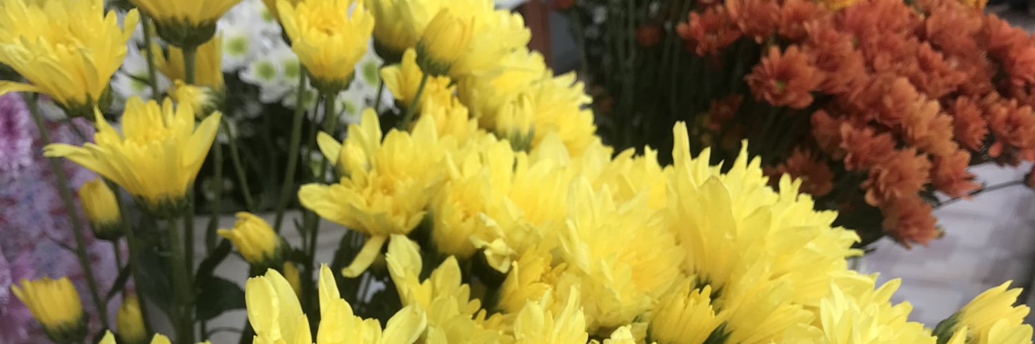 Dahnearcatmood's profile banner image