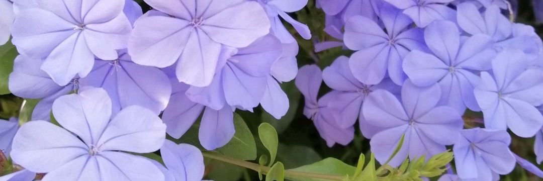 andreaajf's profile banner image