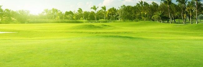 தங்கம் banner