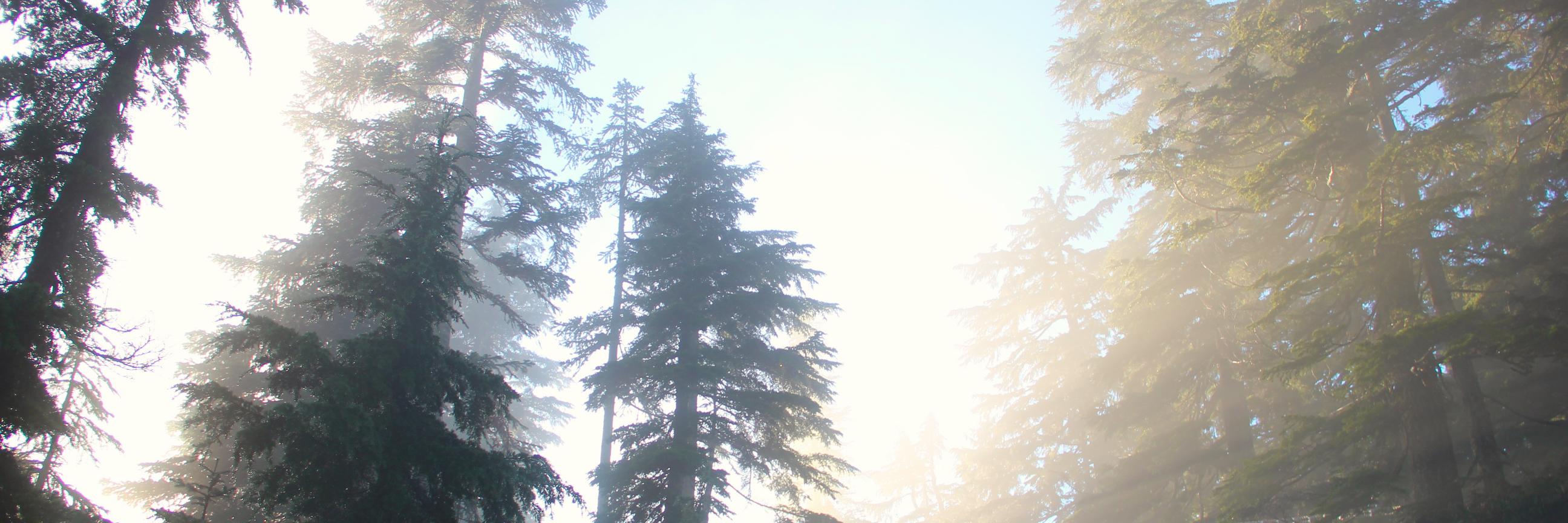 jdbphotouk's profile banner image