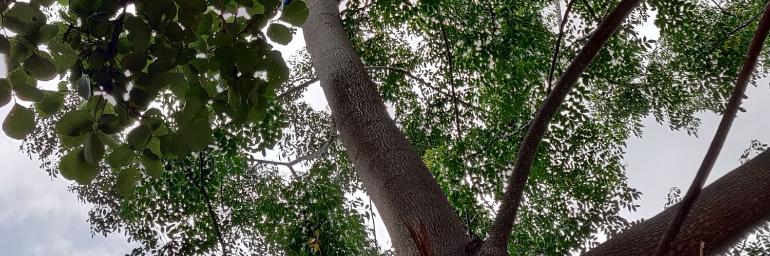 ItsNandanDev's profile banner image