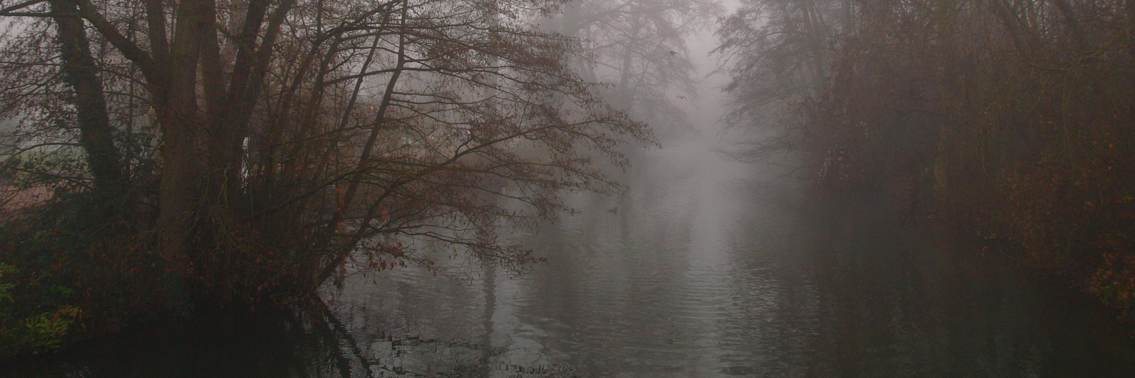 Luis Cases  banner