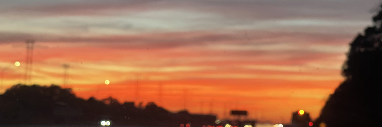 danielabarroeta's profile banner image