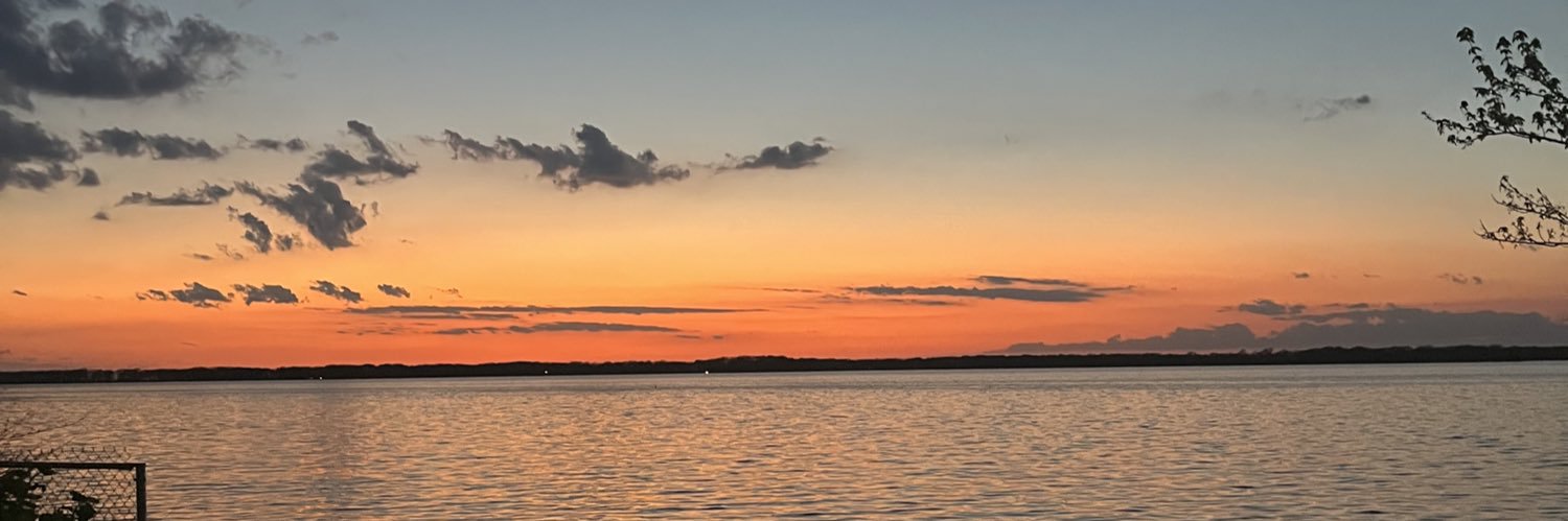 madyschwartz's profile banner image