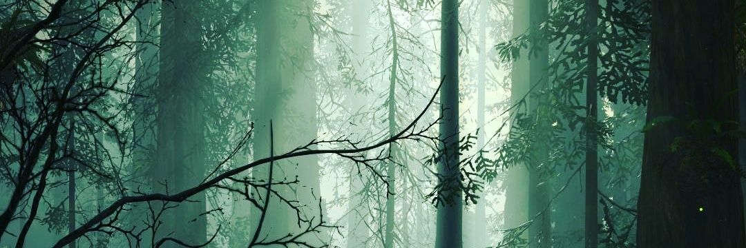 maliumg's profile banner image