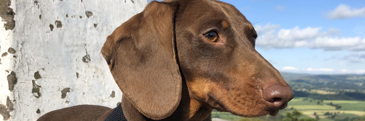vickycropper's profile banner image