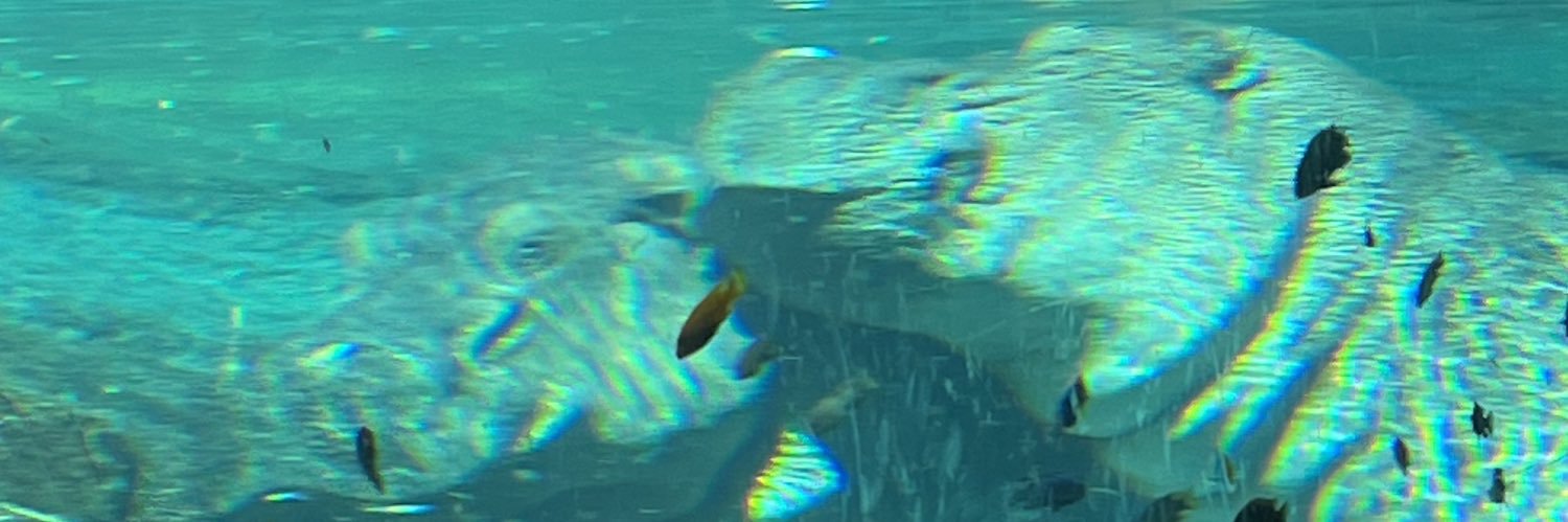 nayelybvb's profile banner image
