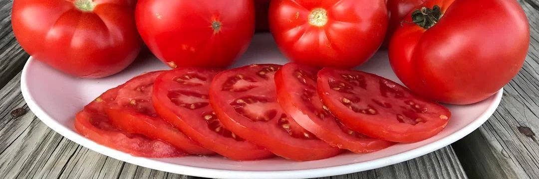 Zoomy the Tomato (She/Her)🏳️‍⚧️ banner