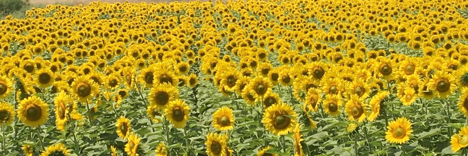 AyseKaMuhendisi's profile banner image