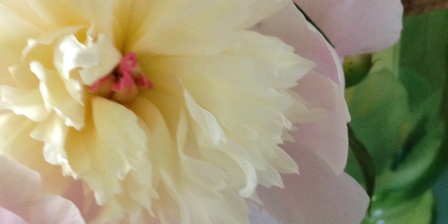 ClareHannan_'s profile banner image