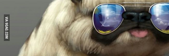 PrincessJessM's profile banner image