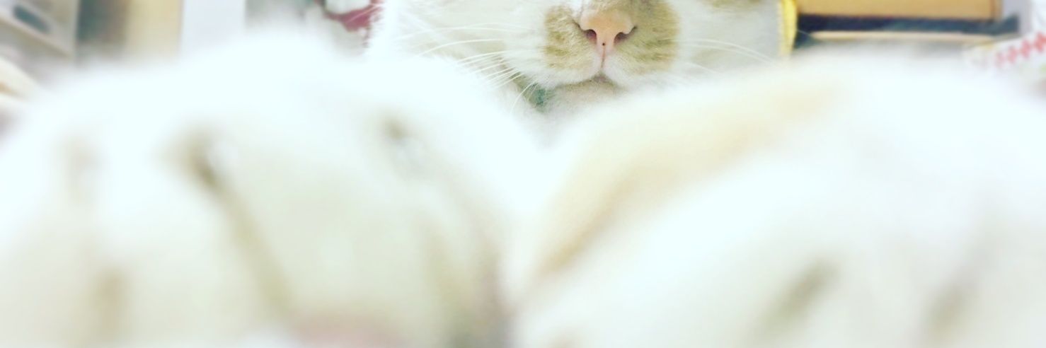 mgmg_224's profile banner image