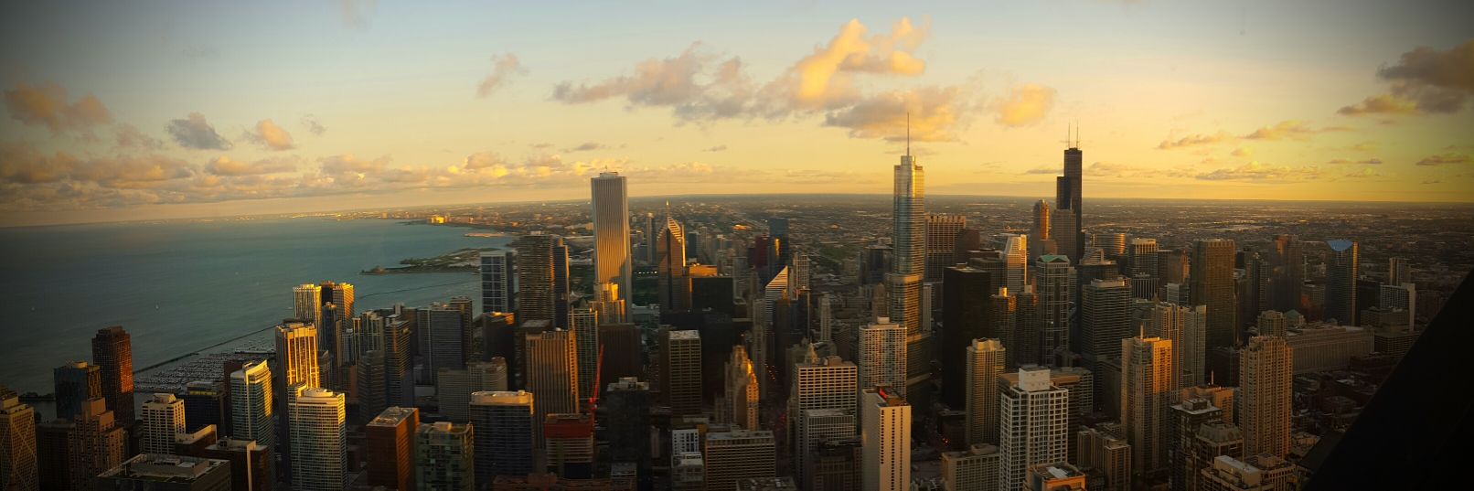 Trisha McAuley OBE banner