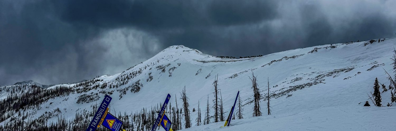 mammothwagon banner
