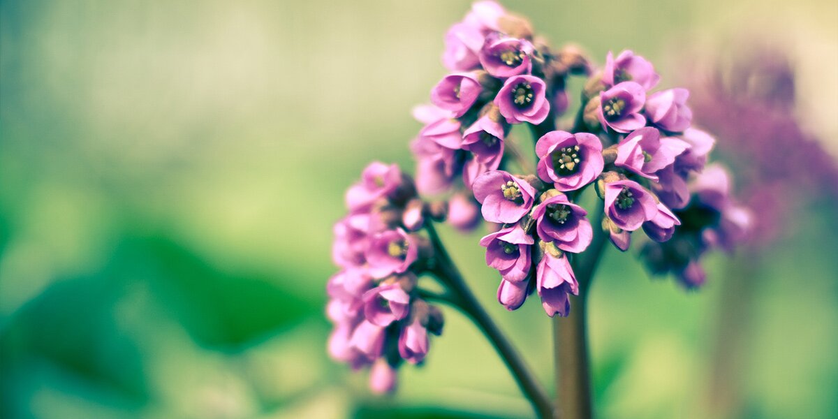 Miss_Nadosha's profile banner image