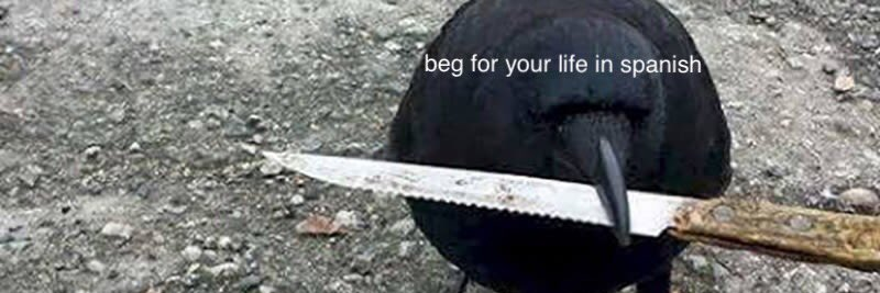 fmarkohf's profile banner image