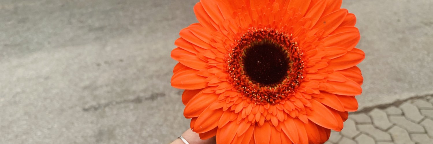 fluizze_'s profile banner image