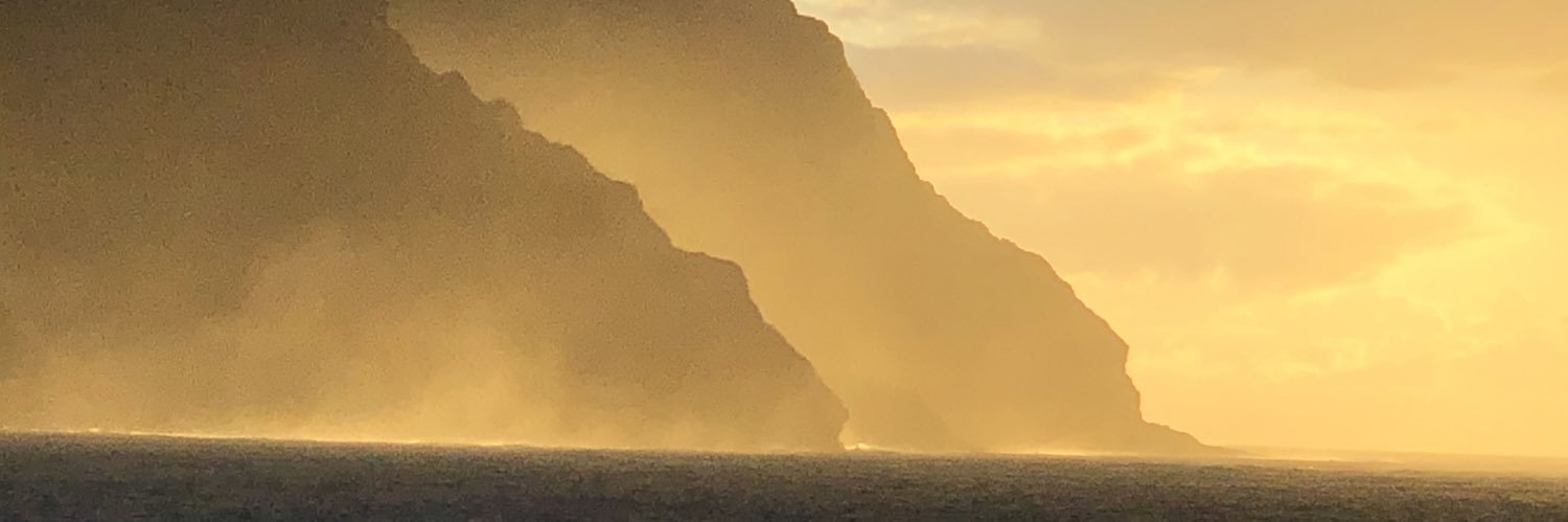 Tracy Peverley banner