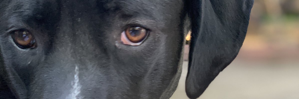Kskroob's profile banner image