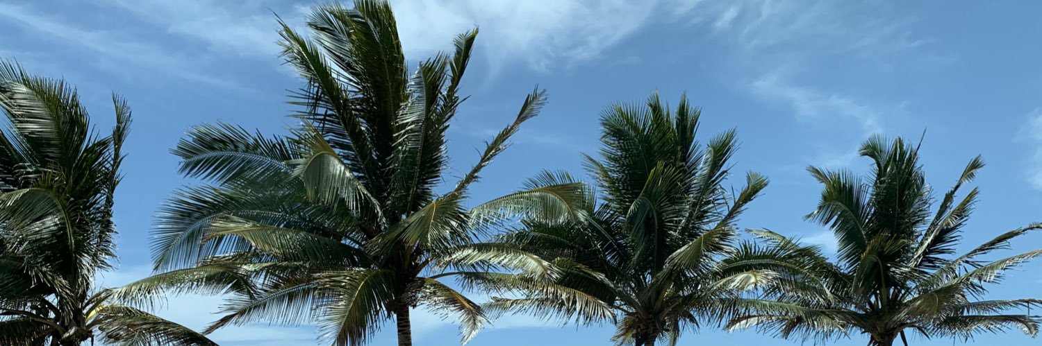 cmardales's profile banner image