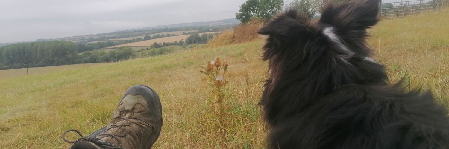 Seb Berry 💙 banner