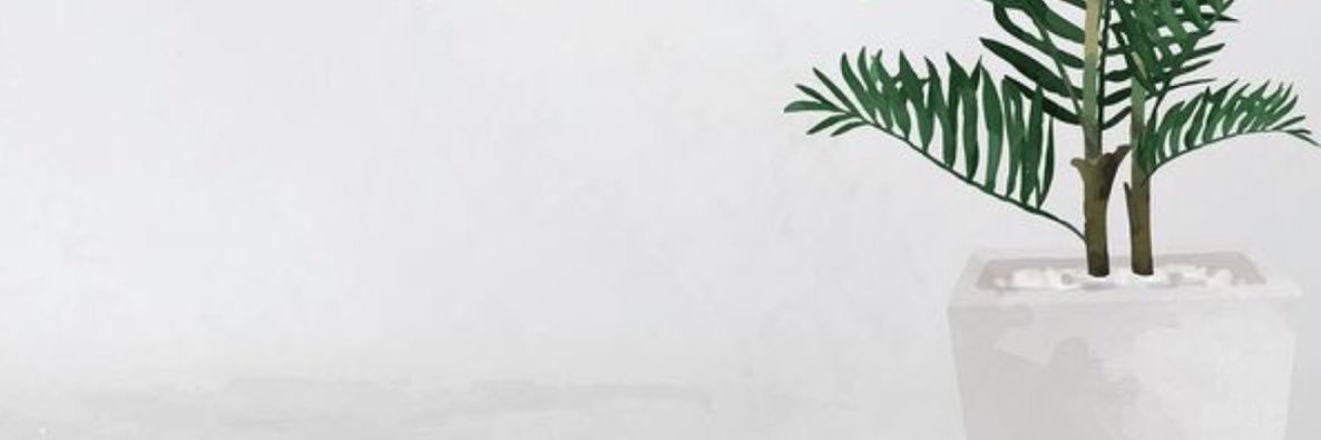 T_Swirh's profile banner image