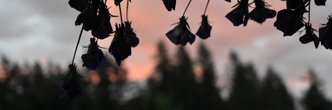 _its_annika's profile banner image