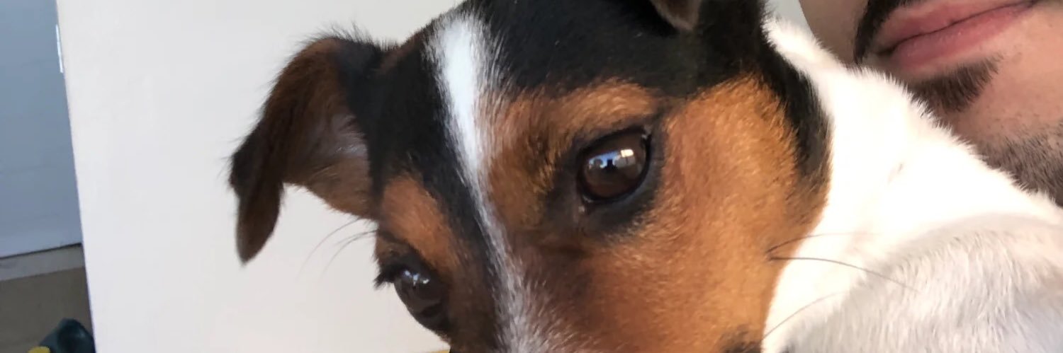 leolinorod's profile banner image