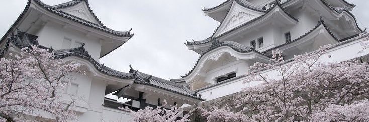 girl person banner