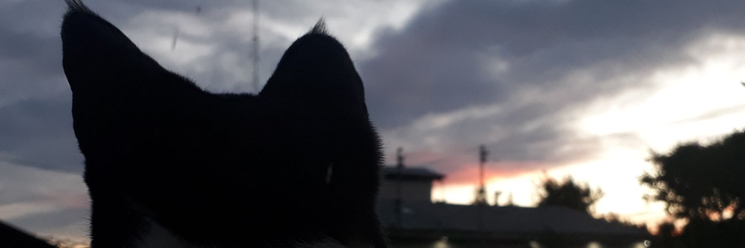 15Agosv's profile banner image