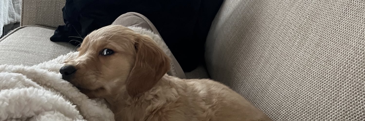 bethany_brownx's profile banner image