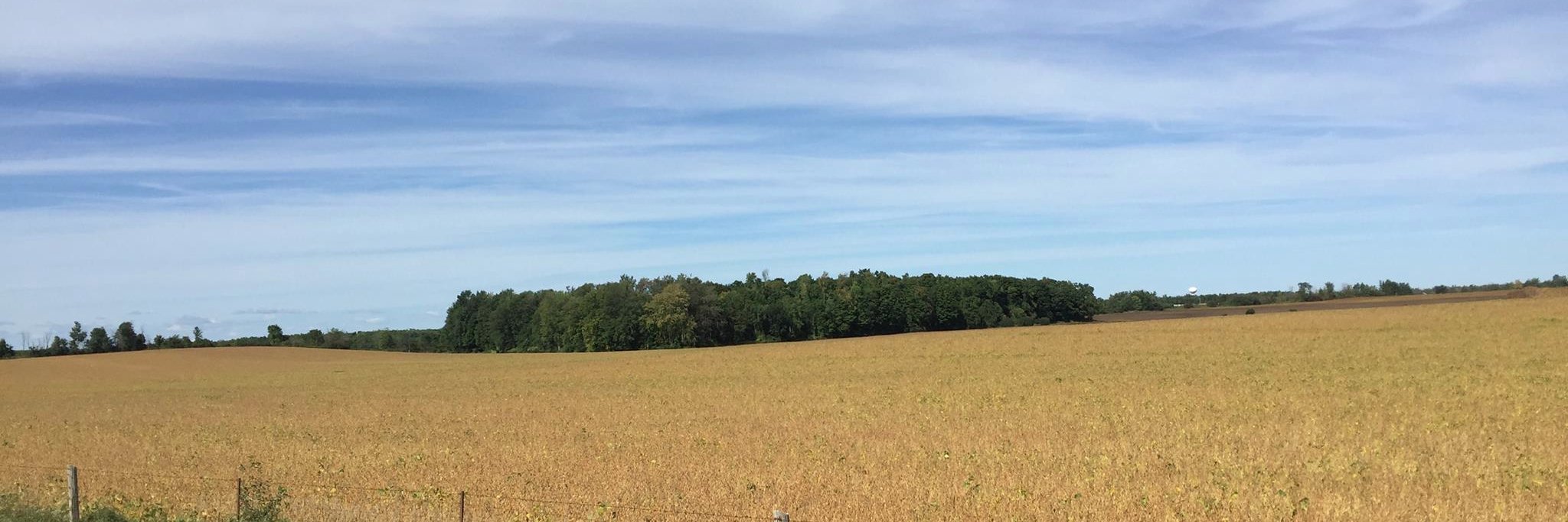 toffnchoff's profile banner image