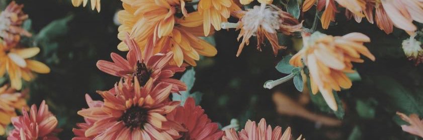 _eligsorof's profile banner image