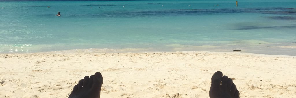 Ryan Nee banner