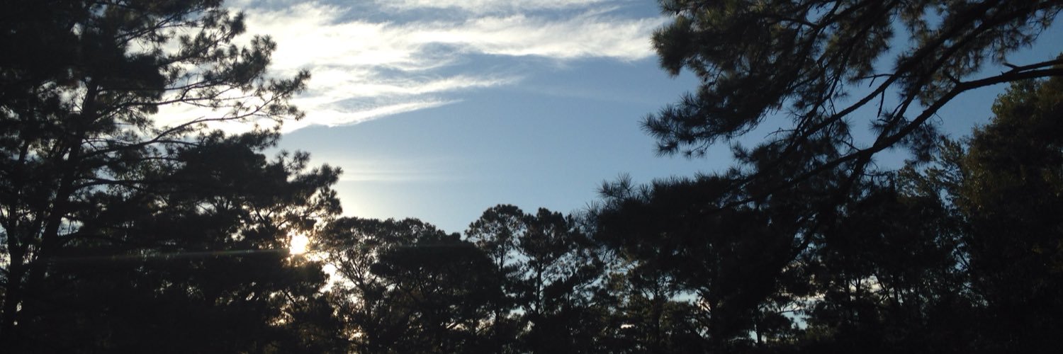 Caleb_Avin's profile banner image