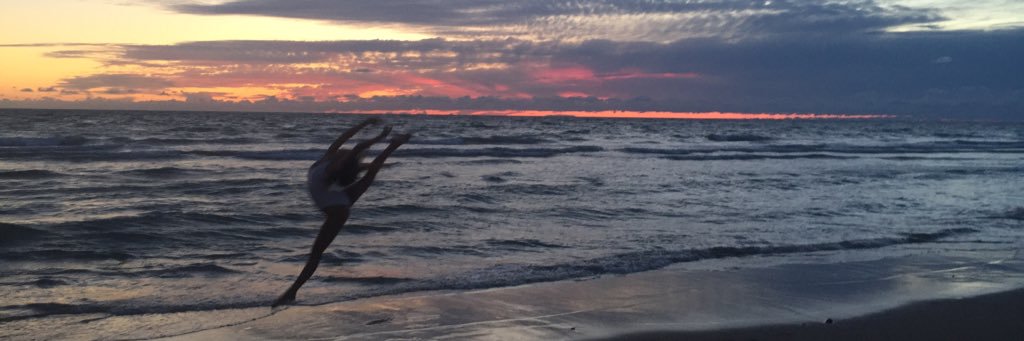 anafernandzr's profile banner image