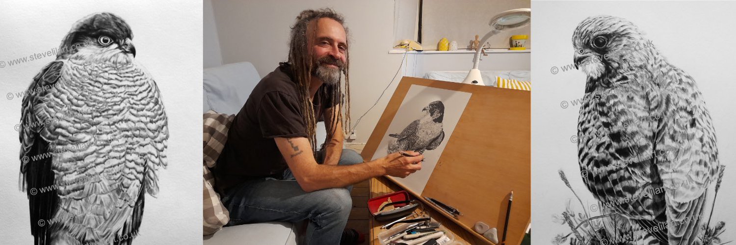 Steve Lilly's banner