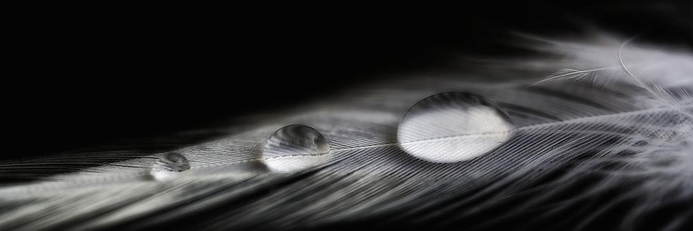 Danny_sAngel's profile banner image