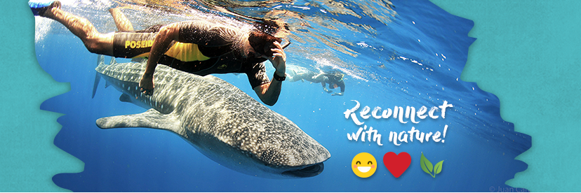 mycancuntours's profile banner image