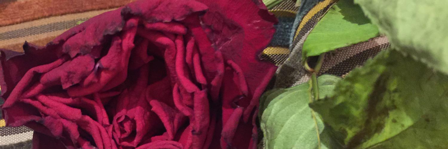 Azza04824318's profile banner image