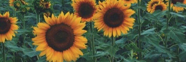 cynfromkc's profile banner image