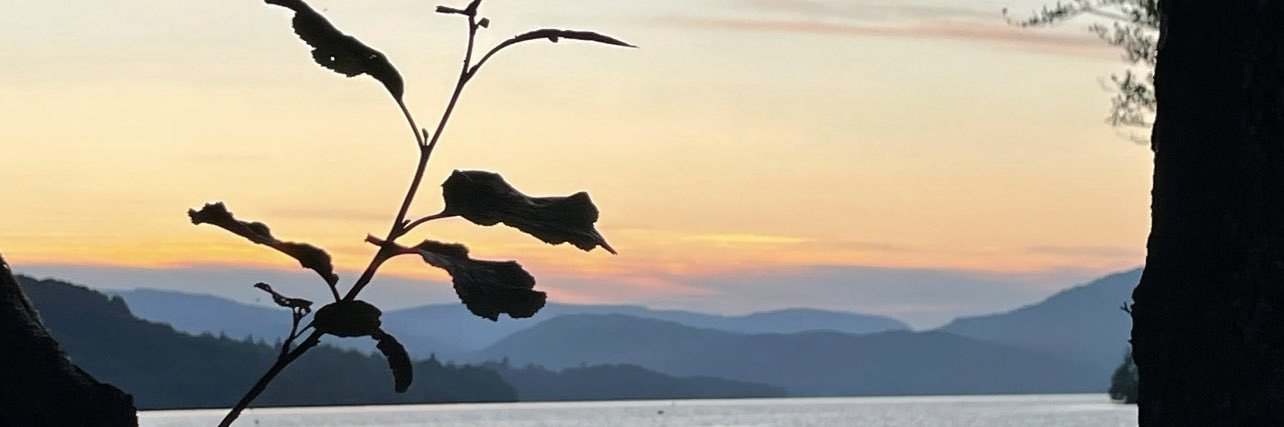 Calumbogie's profile banner image