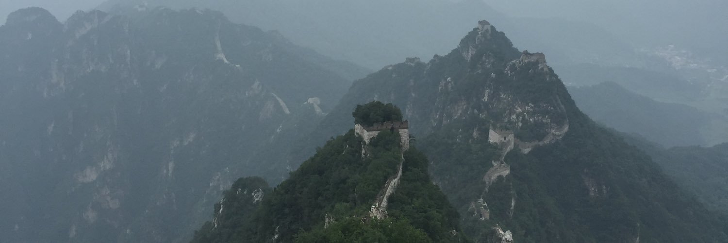 Patrick Wallis banner