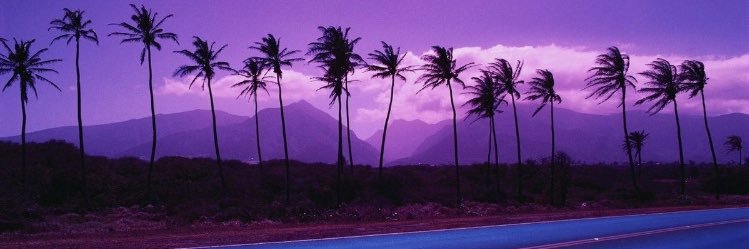 BickleyKayne's profile banner image